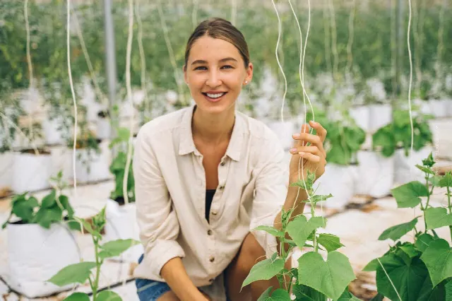 Des serres solaires en Espagne : Mégaprojet d’agriculture biologique – une solution pour la planète ?