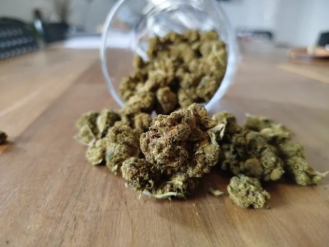 Cannabis commandé en ligne ! #GameChanger – Expériences avec CannaZen