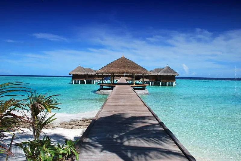 Maison de plage : avantages et inconvénients de l’investissement immobilier, placement de capitaux à la plage