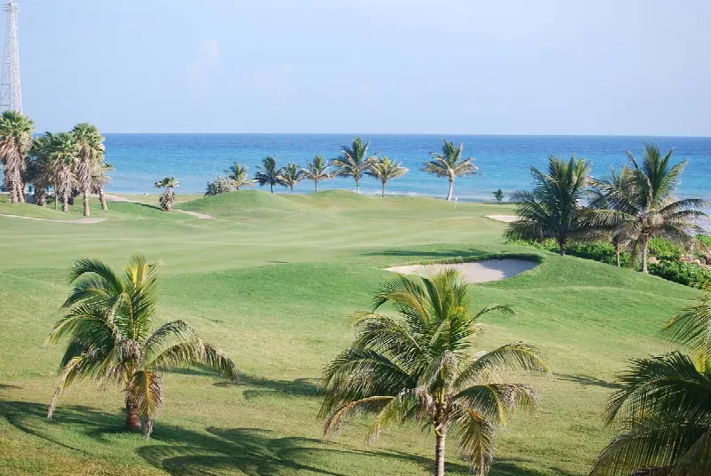 Terrain de Golf Marbella : Ma recommandation pour les meilleurs terrains de golf (+ conseils immobiliers)